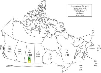 Participants’ perspectives of “NeuroSask: Active and Connect”—a virtual chronic disease management program for individuals with a neurological condition